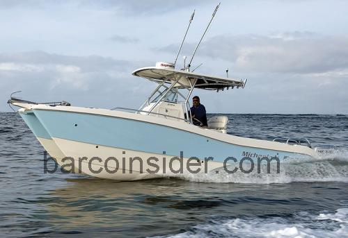 World Cat 270TE opinión y ficha técnica